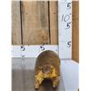 Image 2 : Greater Naked Tailed Armadillo Full Body Taxidermy Mount