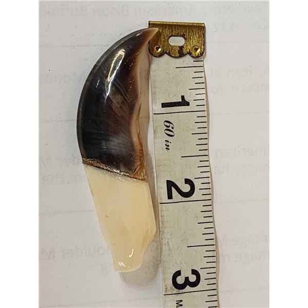 Alaskan Eskimo or Inuit Artwork Polar Bear Claw & Walrus Ivory Necklace Pendant