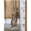 Image 1 : Pair Of Eurasian Scops Owls Full Body Bird Taxidermy