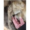 Image 7 : Vintage Seal Skin Waist Length Hooded Coat