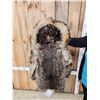 Image 8 : Vintage Seal Skin Waist Length Hooded Coat
