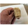Image 4 : Alaskan Inuit Carved Mammoth Ivory Belt Buckle