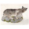 Image 7 : Nice Color Phase Bobcat Full Body Taxidermy Mount