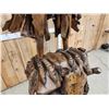 Image 12 : Spectacular Eagle Driftwood Sculpture