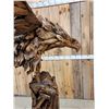 Image 17 : Spectacular Eagle Driftwood Sculpture