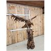 Image 3 : Spectacular Eagle Driftwood Sculpture