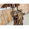 Image 6 : Spectacular Eagle Driftwood Sculpture
