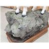 Image 13 : Gorgeous Mountain Goat Full Body Taxidermy Mount