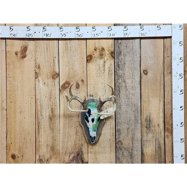 Spectacular Beaded Whitetail Skull Taxidermy