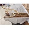 Image 8 : Articulated Beaver Skelton Taxidermy