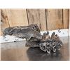 Image 12 : Large Bull Mastodon Skull Section With Molar Ancient Fossil