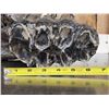 Image 14 : Large Bull Mastodon Skull Section With Molar Ancient Fossil