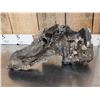 Image 6 : Large Bull Mastodon Skull Section With Molar Ancient Fossil
