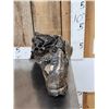Image 7 : Large Bull Mastodon Skull Section With Molar Ancient Fossil