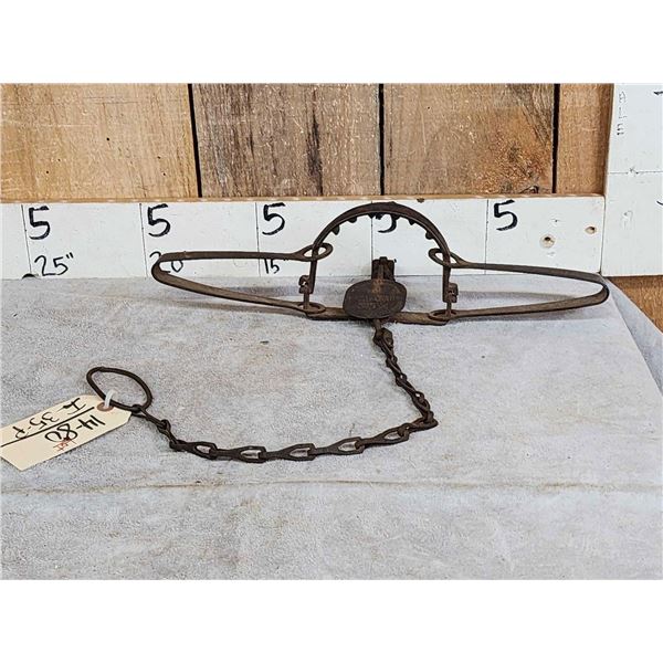 Triumph #315 High Grip Wolf Trap