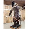 Image 16 : Spectacular Minotaur Full Body Taxidermy Mount