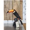 Image 1 : Toco Toucan Full Body Bird Taxidermy
