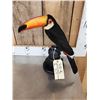 Image 2 : Toco Toucan Full Body Bird Taxidermy