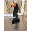 Image 5 : Toco Toucan Full Body Bird Taxidermy