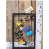 Image 1 : Frame Of 18 Beautiful Butterflies Taxidermy