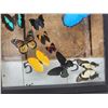 Image 2 : Frame Of 18 Beautiful Butterflies Taxidermy