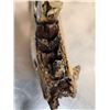 Image 6 : XL Ancient Wolly Rhinoceros Jaw Bone With Teeth Fossil
