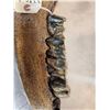 Image 7 : XL Ancient Wolly Rhinoceros Jaw Bone With Teeth Fossil
