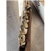 Image 9 : XL Ancient Wolly Rhinoceros Jaw Bone With Teeth Fossil