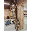 Image 14 : Giraffe & A Half Half Body Taxidermy Mount