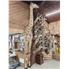 Image 3 : Giraffe & A Half Half Body Taxidermy Mount