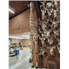 Image 4 : Giraffe & A Half Half Body Taxidermy Mount