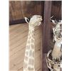 Image 5 : Giraffe & A Half Half Body Taxidermy Mount
