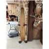 Image 6 : Giraffe & A Half Half Body Taxidermy Mount