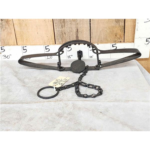 Triumph # 415X High Grip Bear Trap