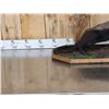 Image 2 : African Honey Badger Full Body Taxidermy Mount