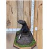 Image 4 : African Honey Badger Full Body Taxidermy Mount