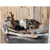 Image 10 : Noah's Ark 7 Critters In A Birch Bark Canoe
