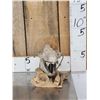 Image 1 : Oreodont Articulated Skull Fossil