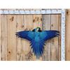 Image 1 : Spectacular Blue & Yellow Macaw Full Body Bird Taxidermy