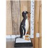 Image 2 : ULTRA RARE Gentoo Penguin Full Body Bird Taxidermy Mount