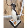 Image 6 : ULTRA RARE Gentoo Penguin Full Body Bird Taxidermy Mount