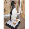 Image 7 : ULTRA RARE Gentoo Penguin Full Body Bird Taxidermy Mount