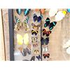 Image 4 : Frame Of 32 Beautiful Butterflies Taxidermy
