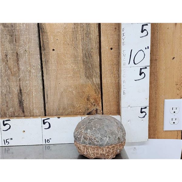 Fossilized Dinosaur Egg