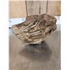 Image 11 : Juvenile Woolly Mammoth Molar In Upper Jaw Section Fossil