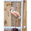 Image 1 : Chilean Flamingo Full Body Bird Taxidermy