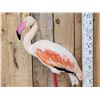Image 2 : Chilean Flamingo Full Body Bird Taxidermy