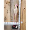 Image 5 : Chilean Flamingo Full Body Bird Taxidermy