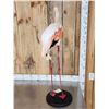 Image 7 : Chilean Flamingo Full Body Bird Taxidermy