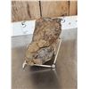 Image 5 : Large Sauropod Fossilized Vertebrae